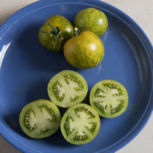 Green Zebra Tomatoes (Specialty) Seedling