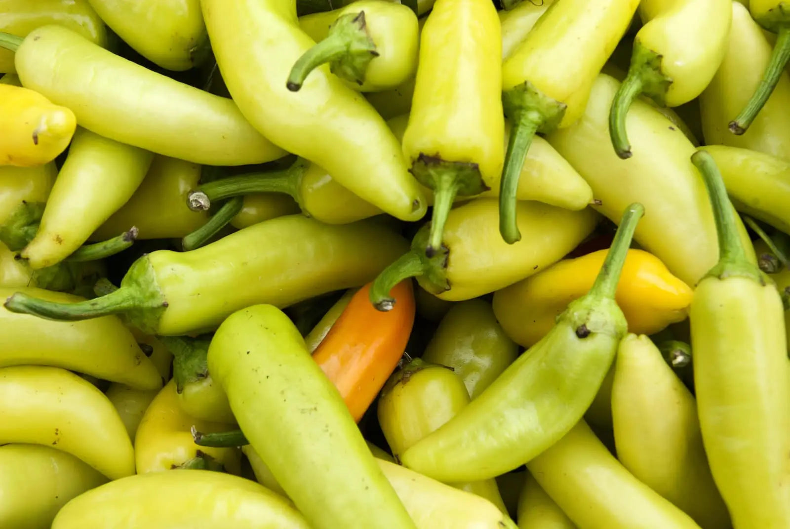 Banana peppers (restaurants)