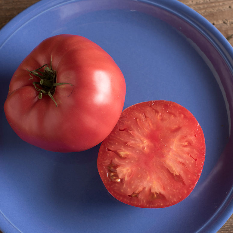 Tomatoes (Brandywine) Seedling