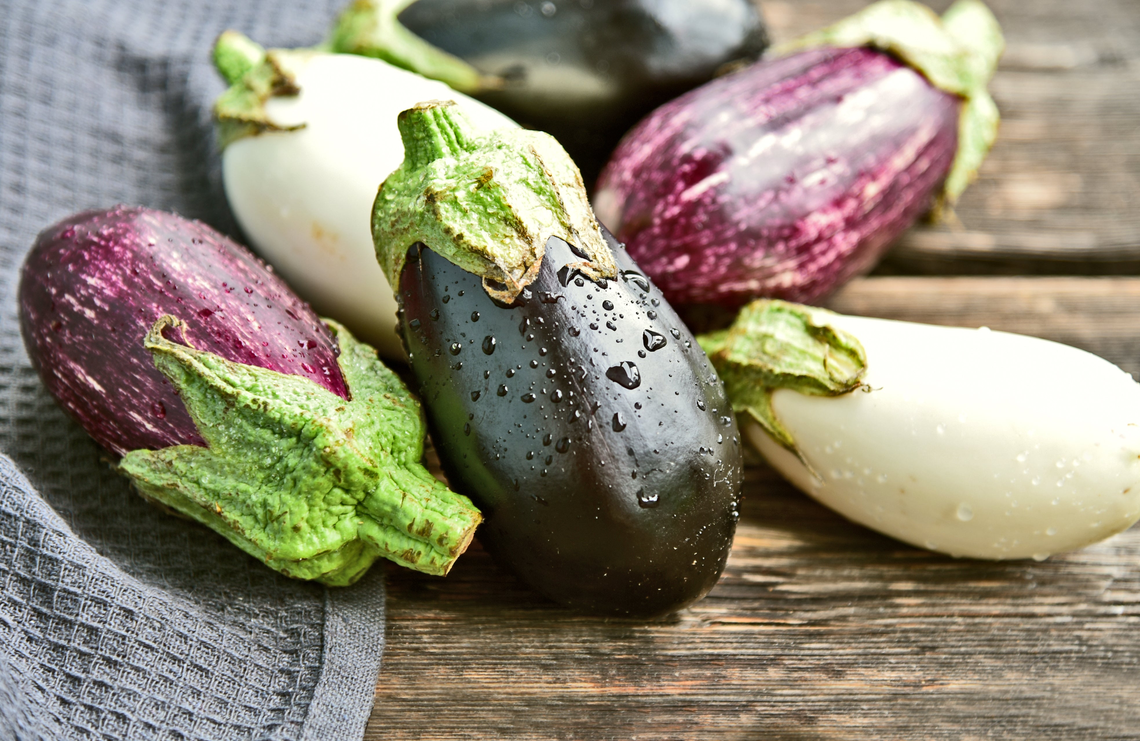 Mixed eggplant (FM)